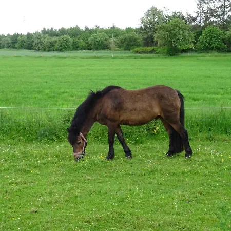 Frehmeyer - Urlaub Auf Dem Bauernhof Im Gemuetlichen * Lindewitt